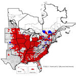 Les zones en bleu montrent ou le nématode a été détecté pour une première fois.