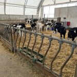 Pour la pouponnière de la Ferme Rufer installée dans un dôme, lors des températures très froides, il arrivait que la tétine gèle. Jérôme Rufer a trouvé une solution innovante.