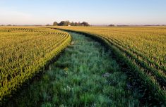 Avez-vous manqué ces articles?