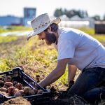 Des fruits et légumes redistribués à la population