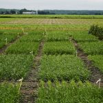 La certification Ecocert Canada pour Sollio Agriculture