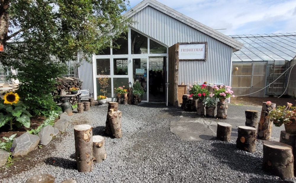 Toute l’année, la Ferme Friðheimar reçoit les visiteurs. Ils sont nombreux à faire le détour puisque pas moins de 250 000 clients sont accueillis tous les ans. 