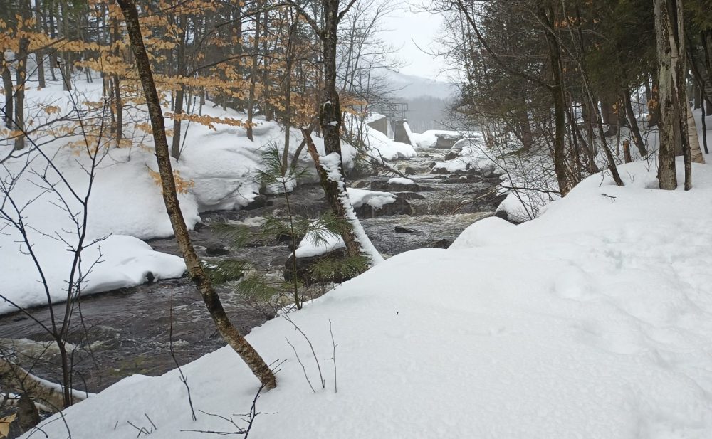 Il suffit d'écouter le ruisseau et l'appel du printemps se fait entendre. Je suis de retour! 