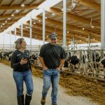 La nouvelle application permet au producteur de suivre la ration de ses vaches sur son téléphone.