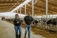 La nouvelle application permet au producteur de suivre la ration de ses vaches sur son téléphone.