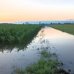 Avaloirs inondés en juillet 2023.