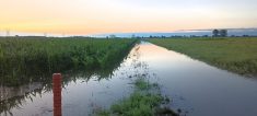 Avaloirs inondés en juillet 2023.