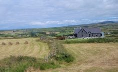 Incursion agricole en Irlande