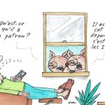 L’effet des élections
