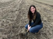 Identifier les insectes de début de saison dans le maïs