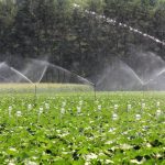 Québec priorise l’accès à l’eau pour le secteur agricole