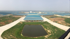 MUDANJIANG CITY MEGA FARM, en Chine