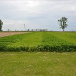 Ministère de l’Agriculture, de l’Alimentation et de l’Agroentreprise