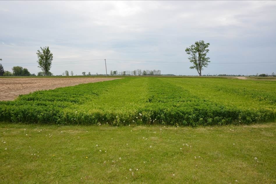 Ministère de l’Agriculture, de l’Alimentation et de l’Agroentreprise
