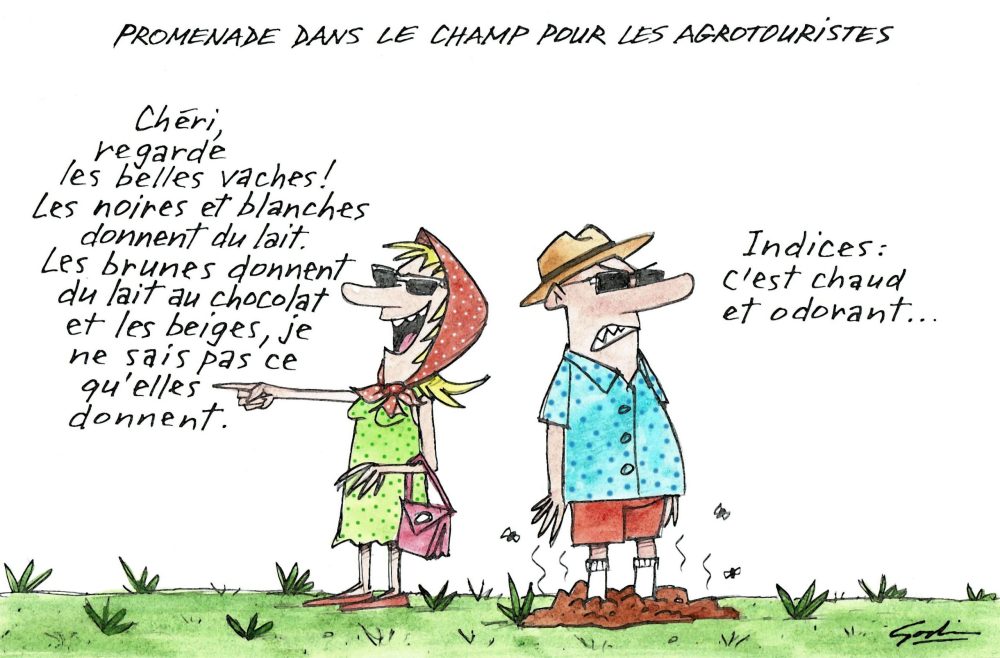 Des urbains en ballade à la ferme