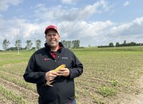 Francis Allard, agronome