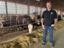 Benoit Desrosiers, Les Fermes Desrosiers