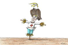 Pas facile la vie d&rsquo;épouvantail&#8230;