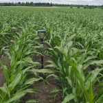 Un pas de plus vers des normes biologiques plus claires