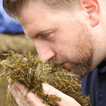 Quelle est la bonne odeur de l’ensilage?