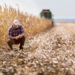 Un outil gratuit d’IA générative fournit des conseils