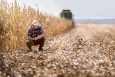 Un outil gratuit d’IA générative fournit des conseils
