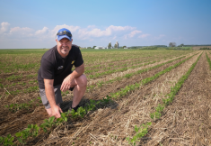 En plus d’être le principal exploitant de la ferme familiale, Yanick Beauchemin est agronome au sein du Club Yamasol depuis 26 ans.