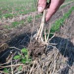 Ottawa lance une consultation nationale sur la protection des sols