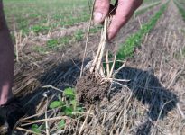 Ottawa lance une consultation nationale sur la protection des sols