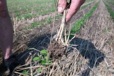 Ottawa lance une consultation nationale sur la protection des sols