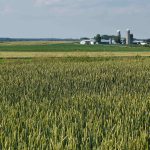 Plus d&rsquo;accès au financement agricole