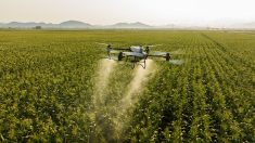 Drone agricole DJI Agras T50 pr&eacute;sent&eacute; par OJ Ag.