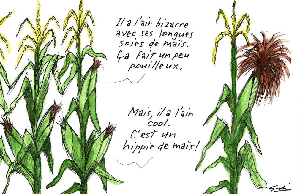 Missy Bauer est au Québec