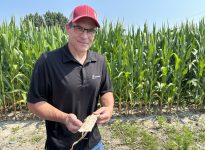 Francois Forest Semences Pride