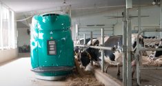 Le nouveau robot d'alimentation GEA.