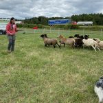 L'éleveuse de chiens de travail Élizabeth Bouchard Richard a fait une démontration dans le kiosque du CQPF à Expo-Champs.