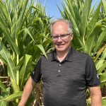 Les effets de la sécheresse sur le maïs-grain et le soya