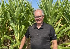 Les effets de la sécheresse sur le maïs-grain et le soya
