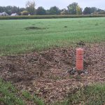 65% de nos blés d’hiver sont sortis de terre, alors qu’on se prépare à semer la dernière section derrière la récolte du soya.