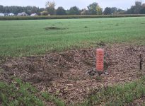 65% de nos blés d’hiver sont sortis de terre, alors qu’on se prépare à semer la dernière section derrière la récolte du soya.