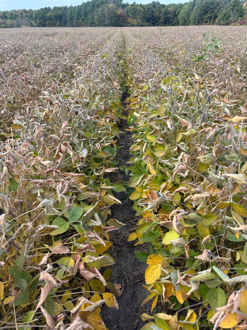 Photo par Catherine Pelletier, Gérard Maheu inc., Montérégie-Ouest