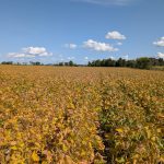 Photo de Sylvain Leroux, Ferme S. P. Leroux inc., Laurentides