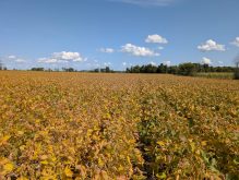 Photo de Sylvain Leroux, Ferme S. P. Leroux inc., Laurentides