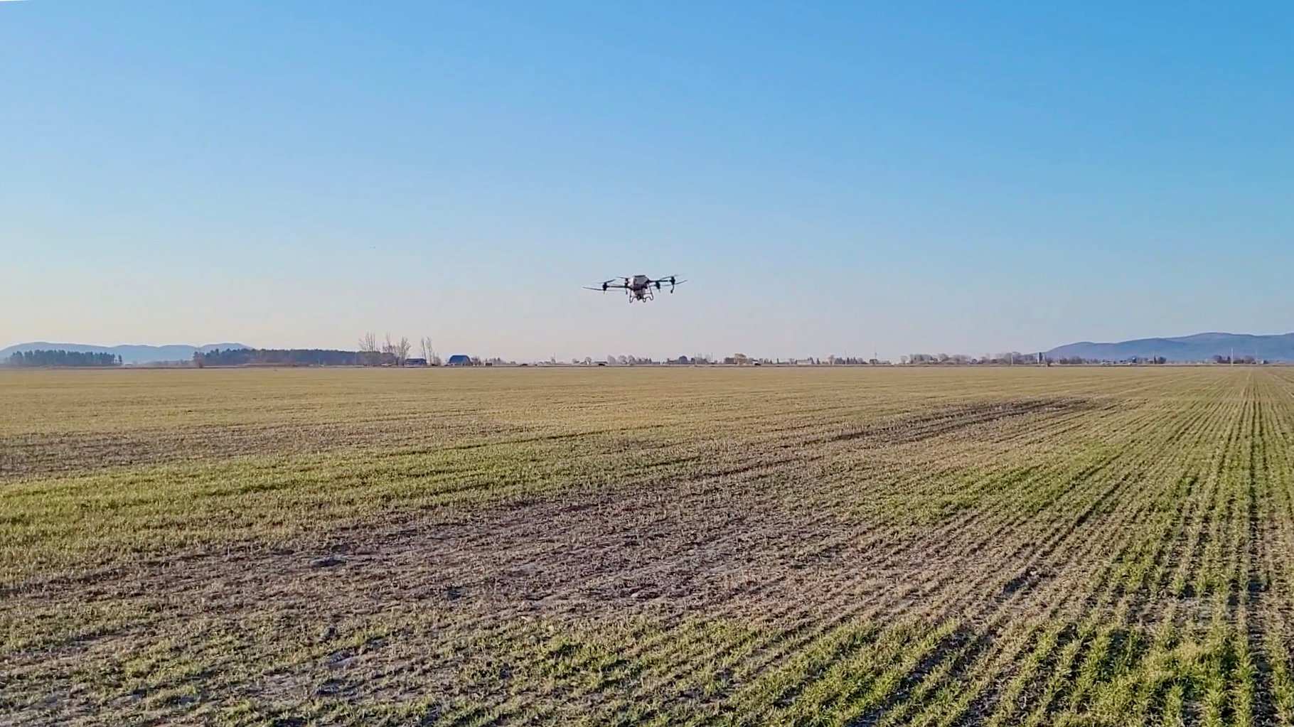 Trois bonnes raisons de s’intéresser aux drones en agriculture