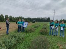 Les étudiantes de l'Institut de technologies agroalimentaies du Québec, campus de Saint-Hyacinthe, ont participé à la Journée à foin en reproduisant sur un an les recherches de l'équipe de M. Séquin.