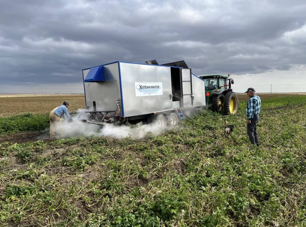 Cet outil injecte de la vapeur dans le sol pour détruire les graines de mauvaises herbes avant même leur germination.