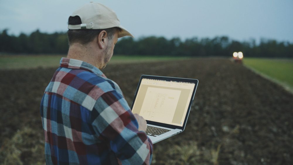 Agronomist Works On A Laptop Amidst The Agricultural Field,Seamlessly Merging Technology With The Fading Daylight. The Soft Glow Of The Screen Illuminates The Expert's Face As Data Analysis And Farming Insights Unfold