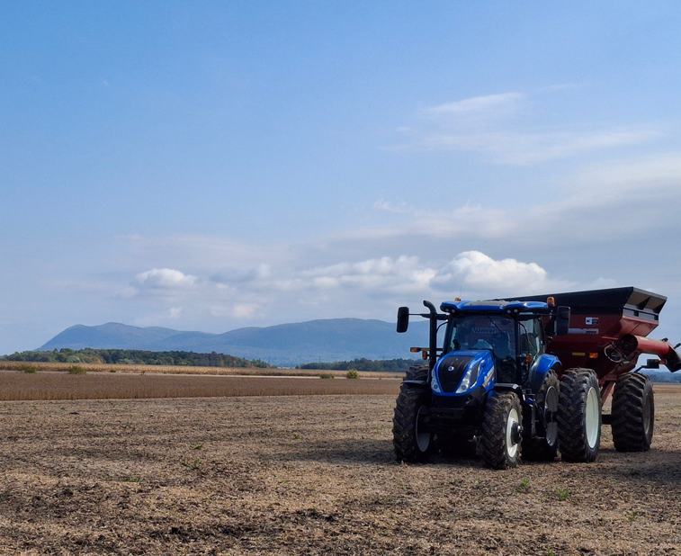 La récolte va bon train à Saint-Césaire, en Montérégie, le 28 septembre. Photo: Céline Normandin