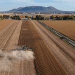 Recolte du soya en Montérégie
