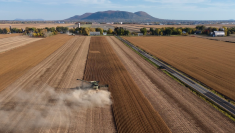 Recolte du soya en Montérégie